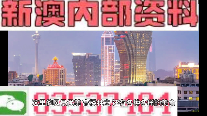 新澳今天最新准确资料精选解析，落实与解释的重要性