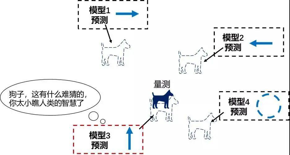 精准狗狗，全面解析与贯彻实践