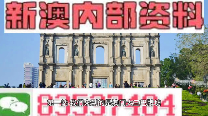 新澳门资料大全正版资料与奥利奥，实用释义、解释及落实