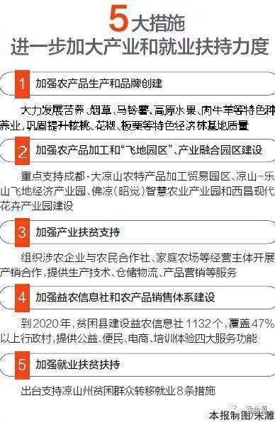关于2025精准资料免费大全的全面贯彻解释与落实策略