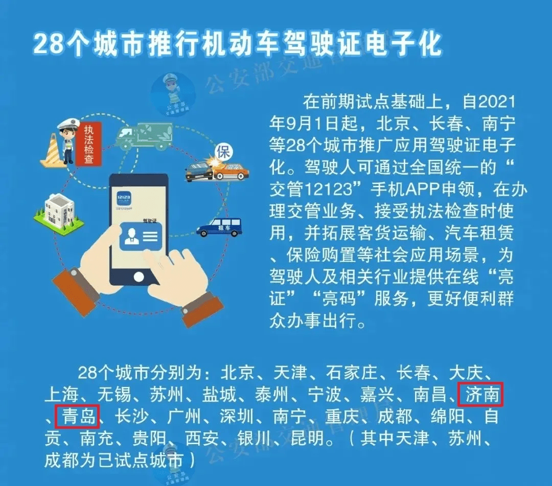澳门免费最精准龙门解析与落实策略，精选解析解释落实展望至2024年