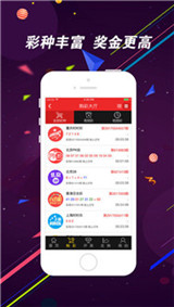新澳门天天彩期期精准龙门客栈，解析彩票秘密与精选策略
