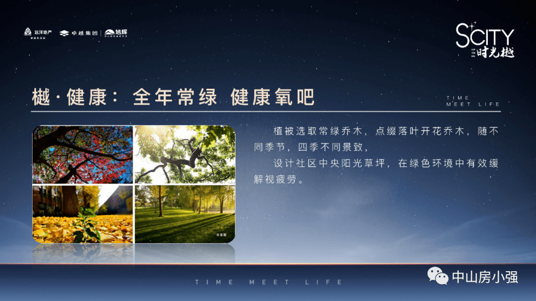 精选解析，新澳今晚开奖号码预测与解读（2025年）