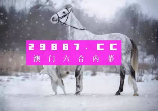 澳门一肖一码，揭秘真相，解析准确性及其实践应用