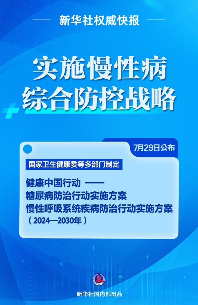 新澳2025精准正版免费资料，实用释义与落实策略