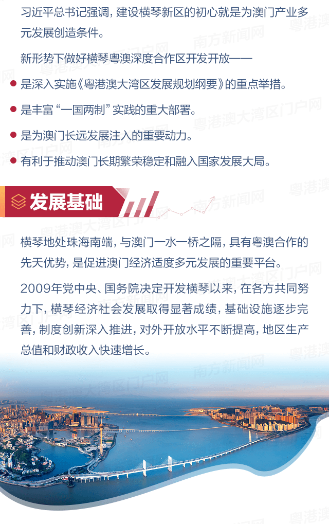 澳门必出一肖一特一中，深度解析与精选解析的落实之道
