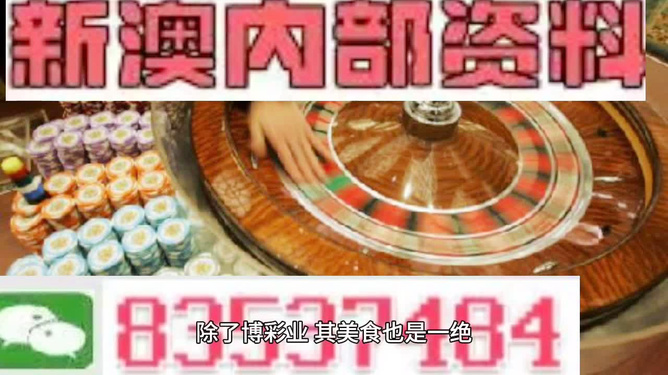 新澳门最精准正最精准龙门，全面解析与贯彻实施的重要性