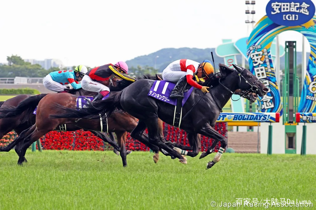 香港特马资料王中王，深度解析与词语释义解释落实