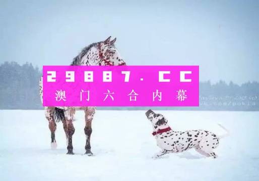 澳门最最准一肖一码，全面深入解析与贯彻实施