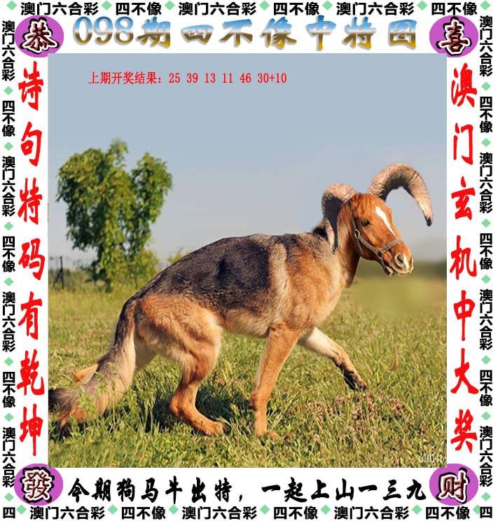澳门今晚开特马四不像图，深度解读与词语释义解释落实