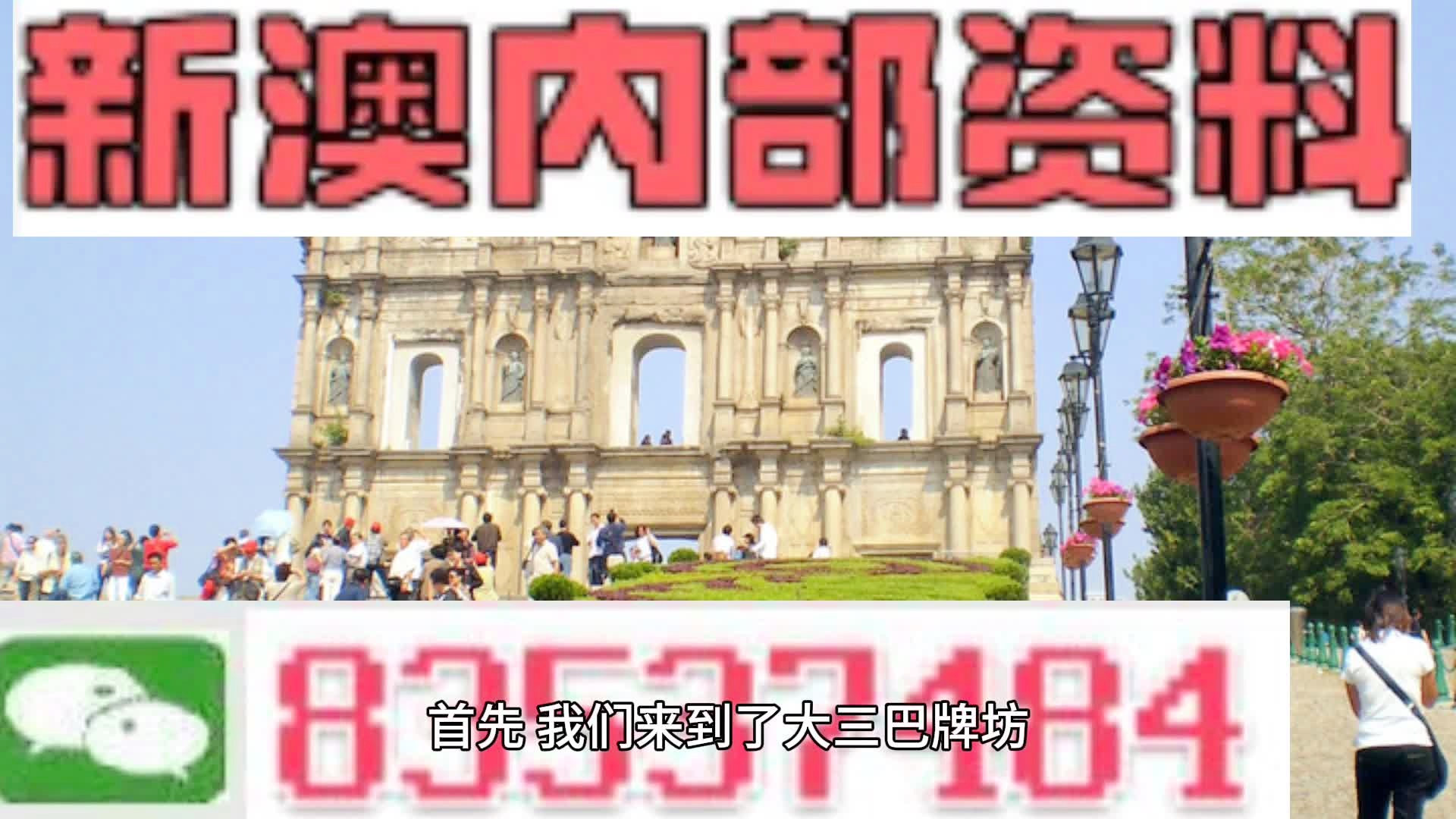 新澳门兔费资料，词语释义与落实解释