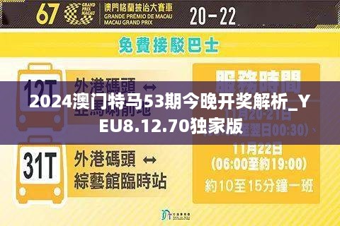 新澳今晚特马上映，精选解析与前瞻