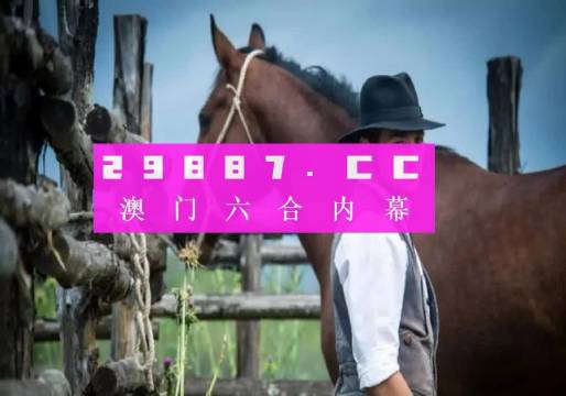 澳门一肖一码，期期精准的预测与实用释义解释落实