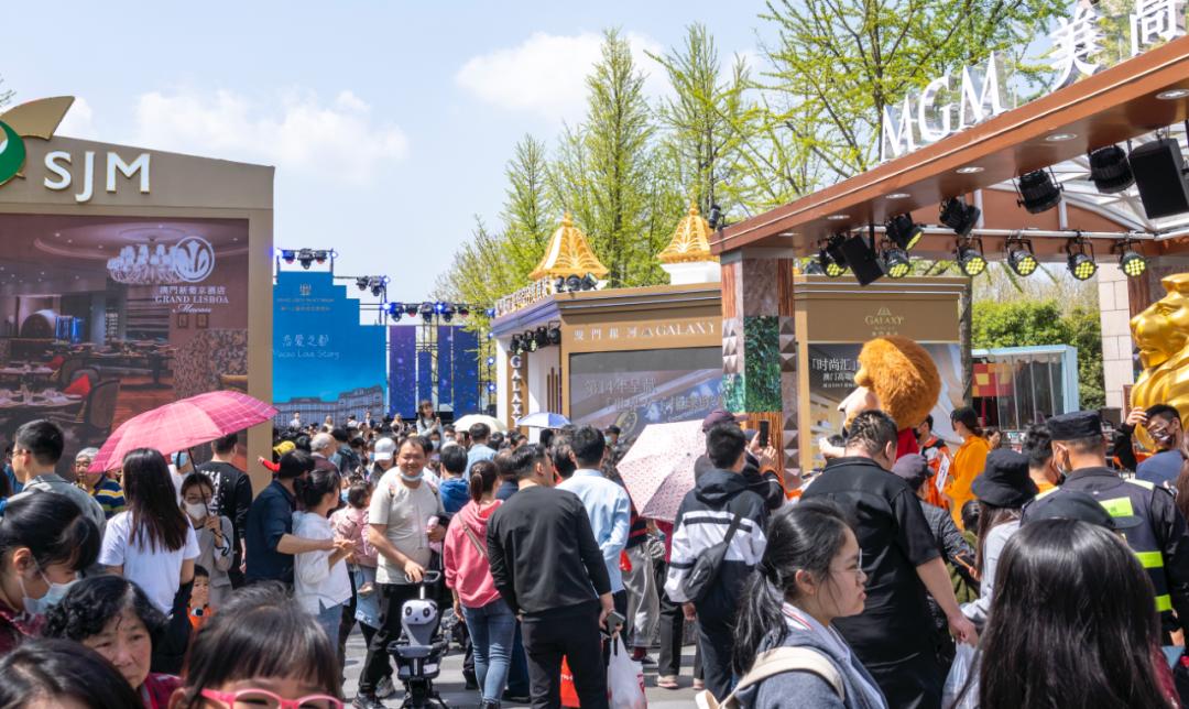 新澳门2025年正版免费公开，释义解释与落实展望