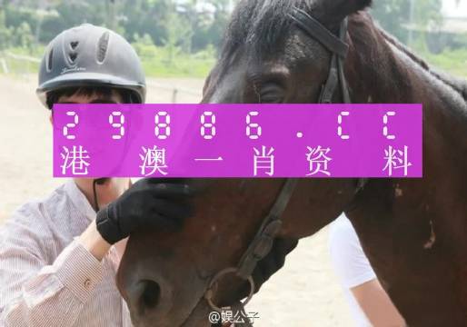 澳门一肖一码，揭秘精准王中王背后的秘密与词语释义解释落实
