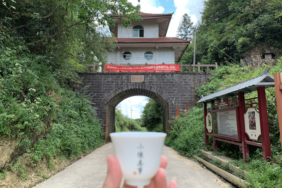 最新消息 第222页