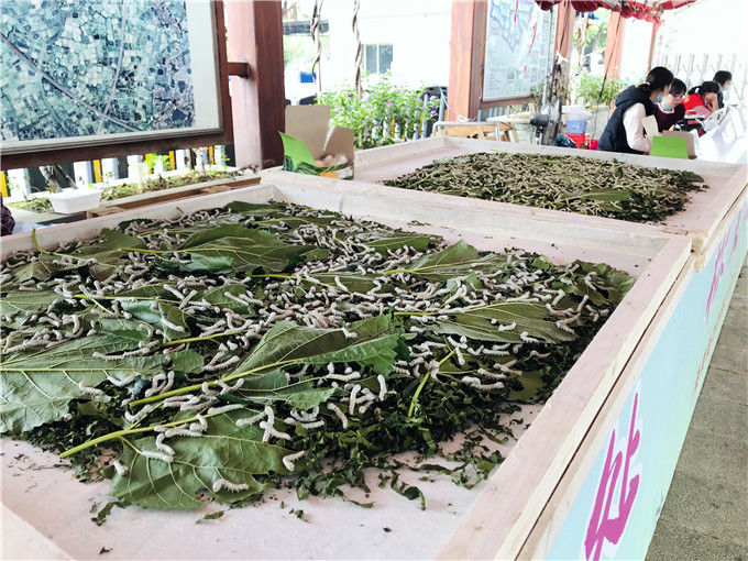 新澳门最精准正最精准龙门蚕，全面解释与贯彻实践