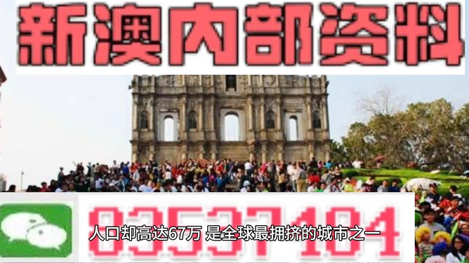 澳门最精准正最准正最更新，全面解析与贯彻实施