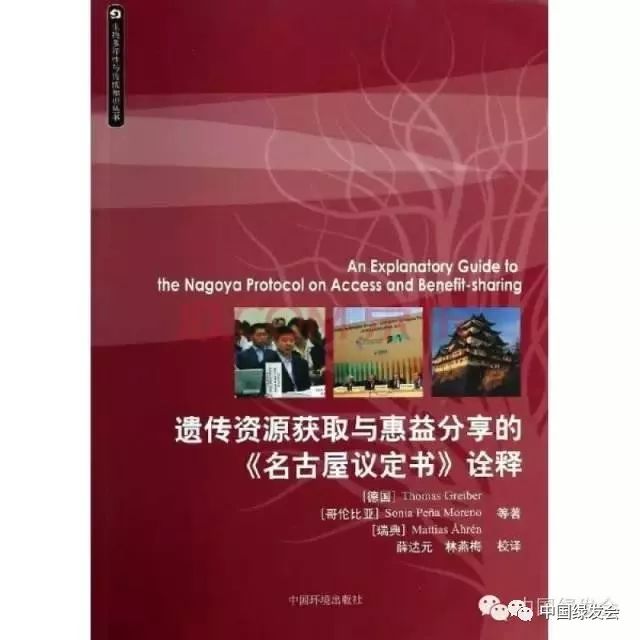 新澳三期必出一肖，全面贯彻解释落实的重要性