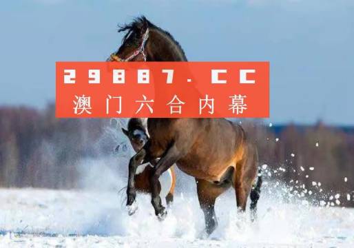 澳门一肖一特一码一中，词语释义与解释落实的重要性