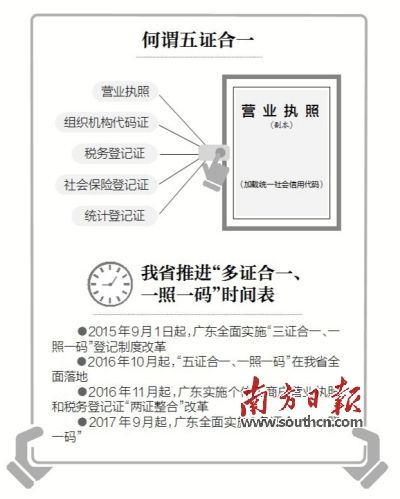 一肖一码一必中一肖，全面释义与落实策略
