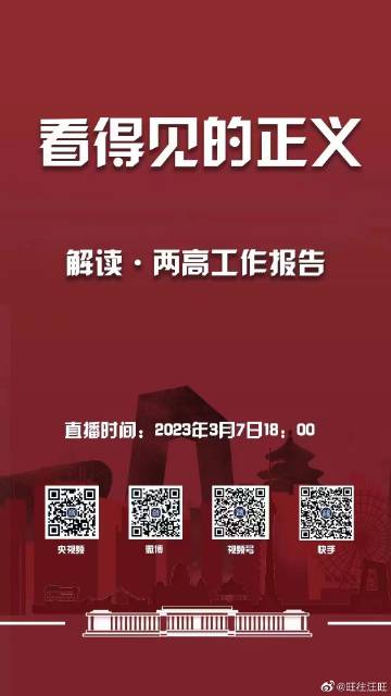 一肖一码，全面贯彻解释落实的重要性与策略