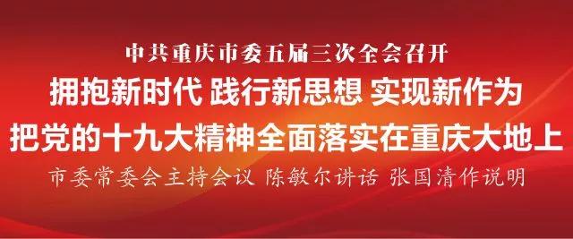 新澳门中特期期精准，全面贯彻解释落实的探讨
