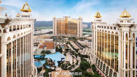 新澳门三期内必开一期，深度解析与精选解释