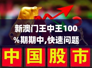 新澳门王中王期期解析与全面贯彻解释落实策略