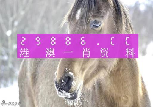 澳门一肖一码100%正确答案的全面贯彻解释与落实