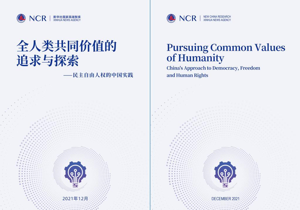 一肖一码一特一中，深度解读与落实策略