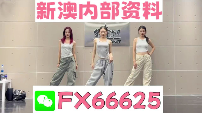 管家婆必出一中一特100，全面释义、解释与落实