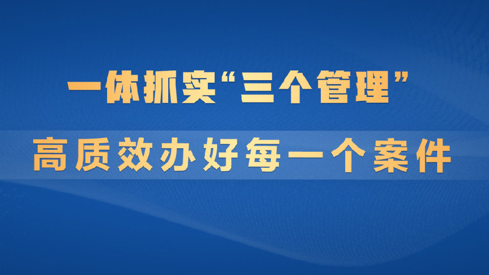 一肖一码一一肖一子，全面阐释与落实的关键要素