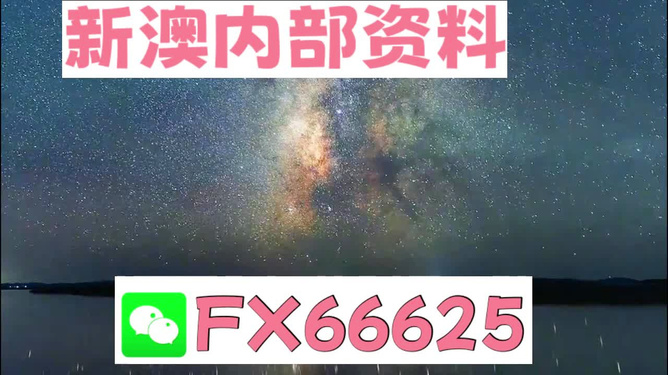 关于2024年天天彩资料免费大全的精选解析与落实策略