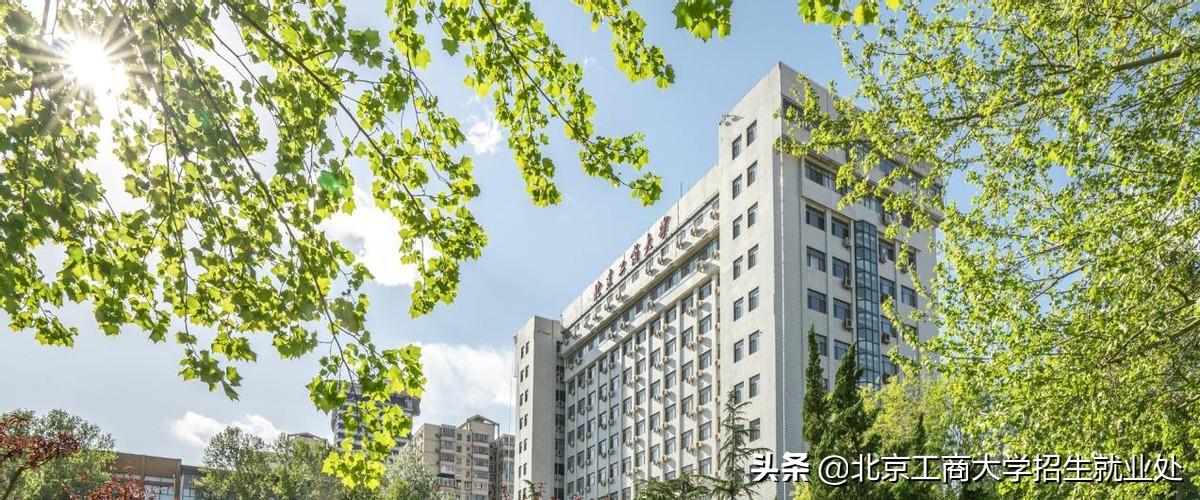 新澳门三期内必开一肖，全面贯彻解释落实的重要性与策略探讨