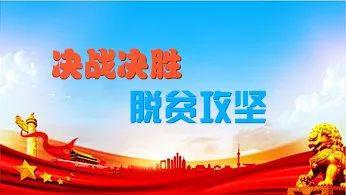 新门免费资料大全最新，全面贯彻落实与深入解释