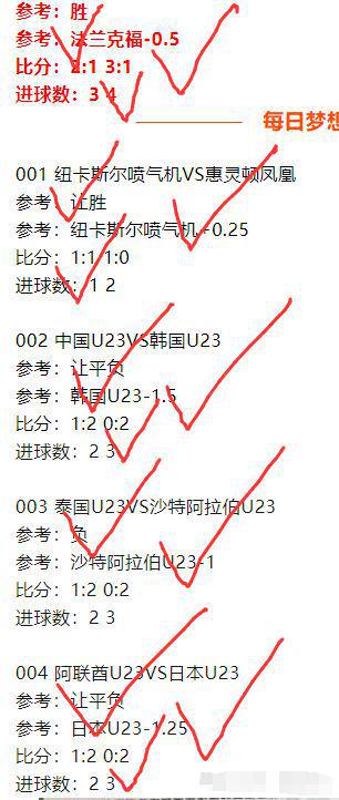 一肖一码，解析与精选资料