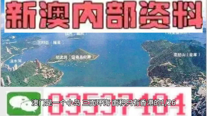 新澳门最准最快免费精选解析与落实之道