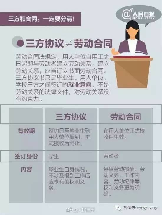 揭秘白小姐资料大全与正版奇缘四肖，深度解析与落实精选资料