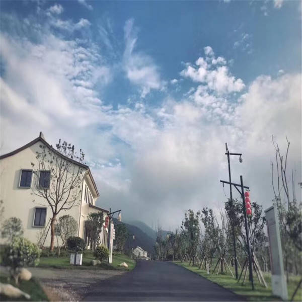 揭秘77778888管家婆必开一期，深度解析与精选解释