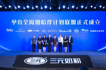 新澳门期期准之精准解析与落实策略