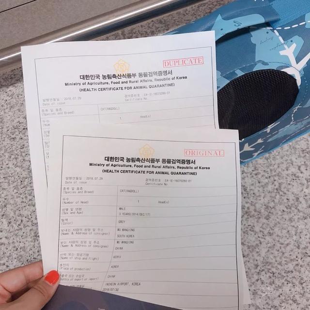 今晚9点30开特马，实用释义、解释落实的重要性