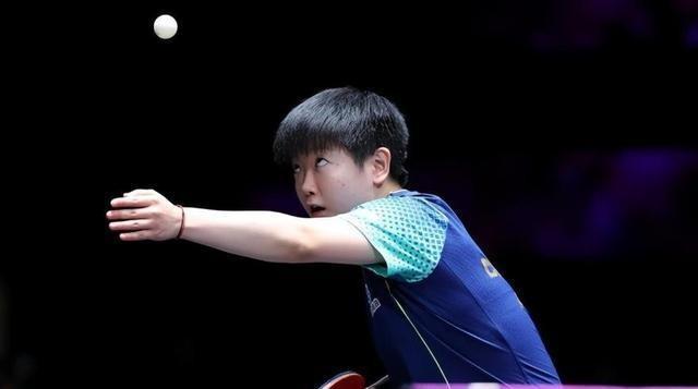 新2024澳门兔费资料，词语释义与落实解释