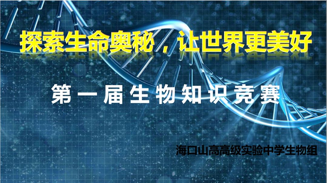 探索未来奥秘，解析澳门码与精准正版预测的魅力