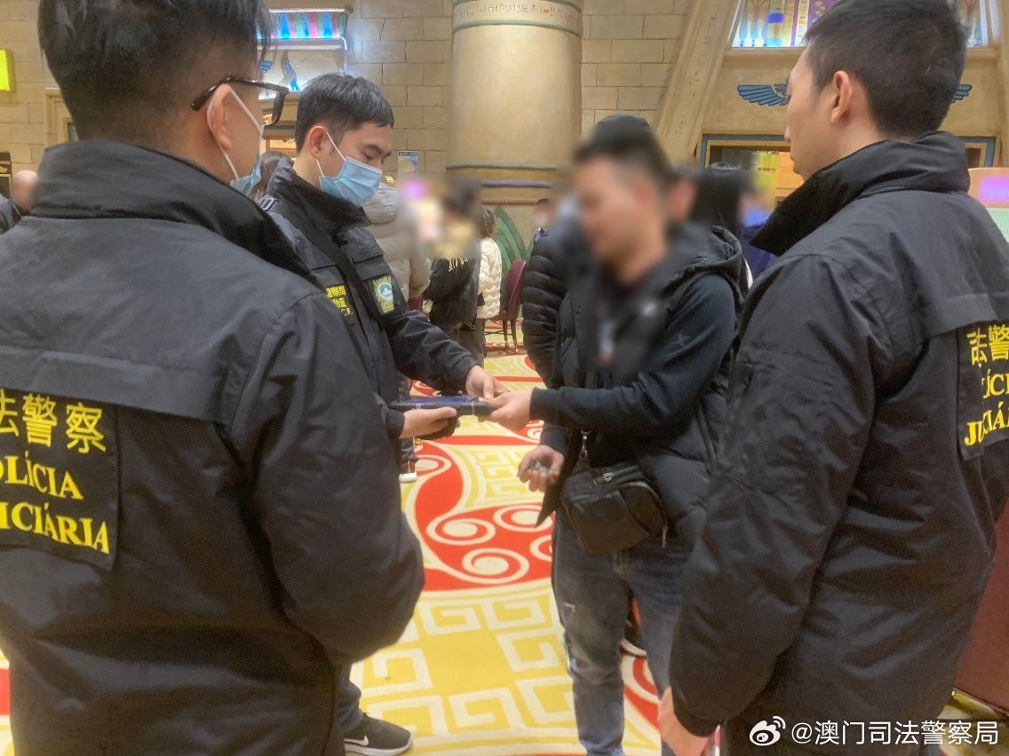 澳门天天彩期期精准，犯罪行为的警示与防范
