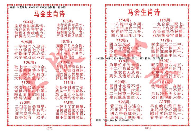 王中王493333WWW马头诗，全面释义、解释与落实
