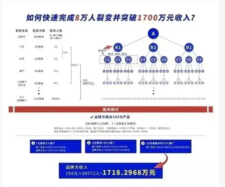一肖一码一特一中，深度解读与落实策略
