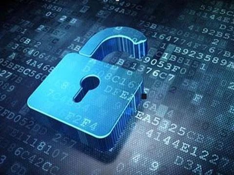 王中王资料大全及其相关释义与落实解析