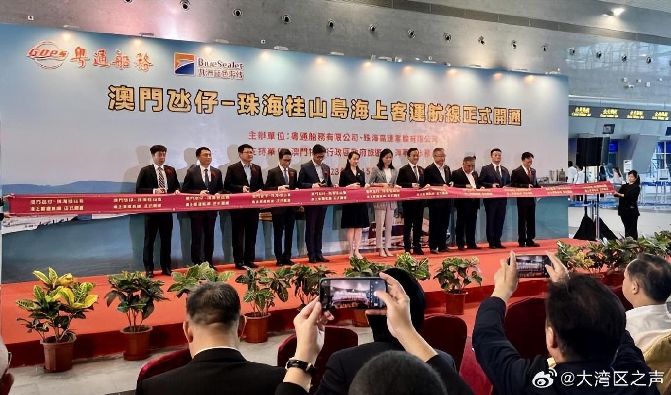澳门百分百最准一肖，探寻背后的神秘与词语释义解释落实的重要性