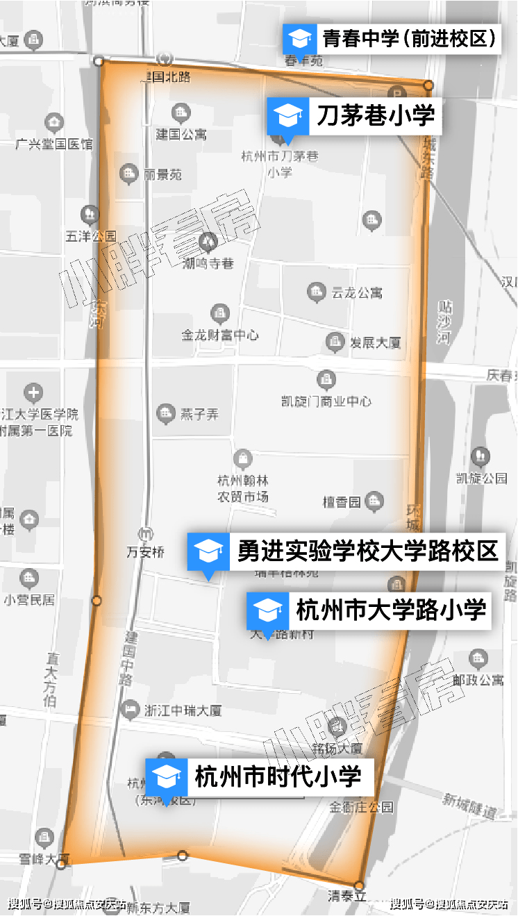 新澳门王中王100期期中解析与精选解释